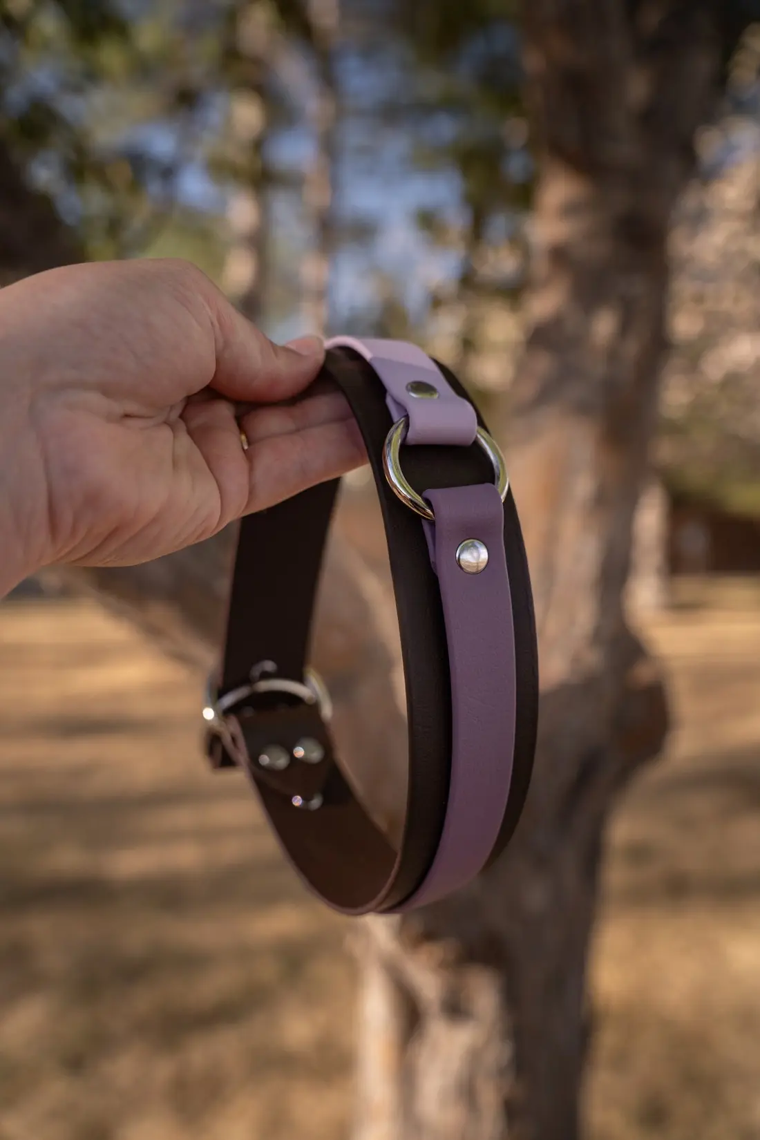 A hand holding a dark leather dog collar against a tree.