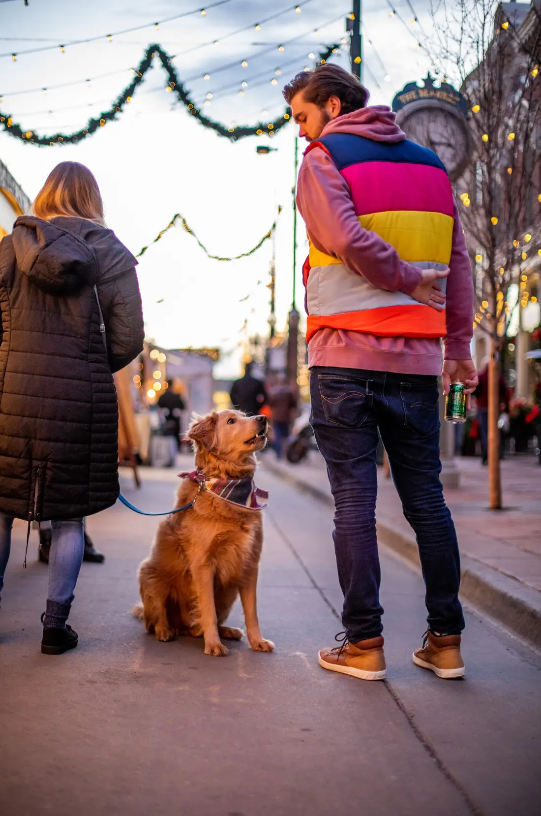 A golden retriever waiting on its people under garland and string lights.